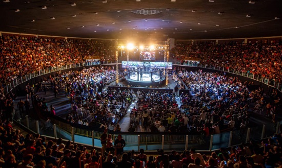  MMA em Sergipe: Constâncio Vieira receberá o Jungle Fight 2024 – O que é notícia em Sergipe – Infonet