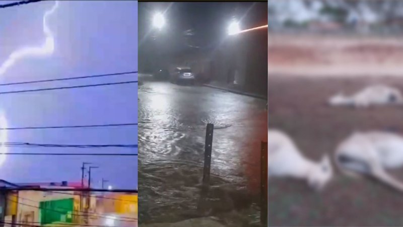  VÍDEO: chuvas intensas causam estragos no interior de Sergipe – A8SE.com