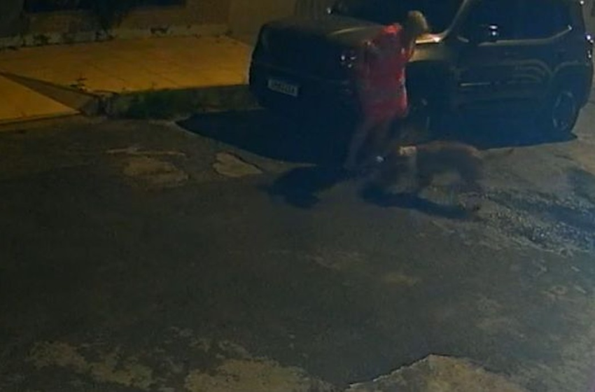  Pitbull ataca mulher e mata cachorro na Zona Sul de Aracaju – G1