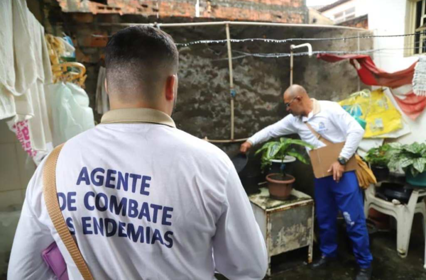  Confira quais são os municípios de Sergipe com alto risco de infecção da dengue – NE Notícias – NE Notícias