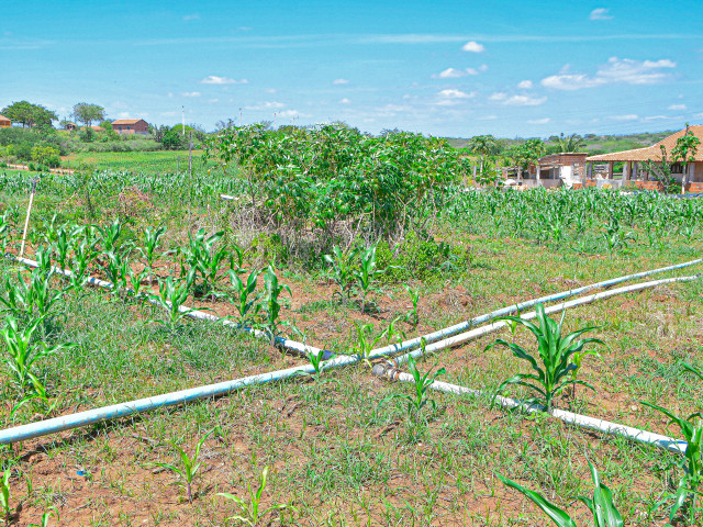  Agricultura Perímetros irrigados do Governo de Sergipe geram polos de desenvolvimento agrário no estado – Governo de Sergipe