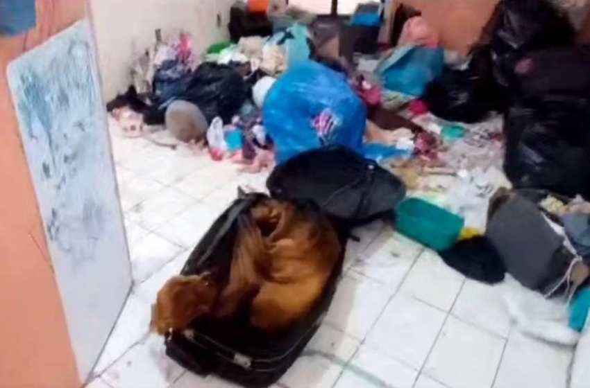  Mulher que ocultou cadáver dentro de mala sai da prisão em Sergipe – Metrópoles