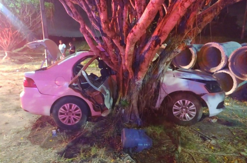  Passageira morre após carro bater em árvore em São Cristóvão – G1