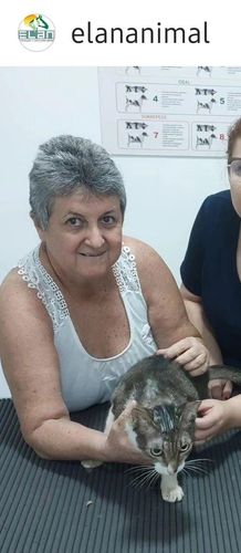 Presidente da ONG Educação e Legislação Animal (ELAN) é encontrada sem vida na Barra dos Coqueiros – Portal Itnet