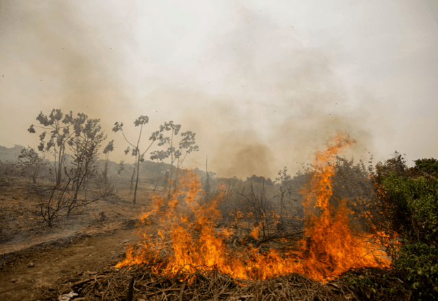  Área queimada em 2024 no Brasil equivalente a 90% do Sergipe, diz Ipam – SBT