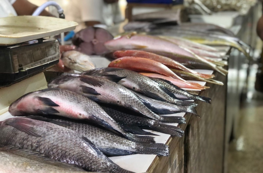  Semana Santa: Procon de Aracaju divulga pesquisa de preços dos pescados – G1