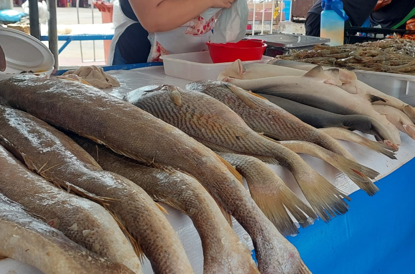  Semana Santa: Bairro América recebe mais uma edição da Feira dos Pescados – Prefeitura de Aracaju