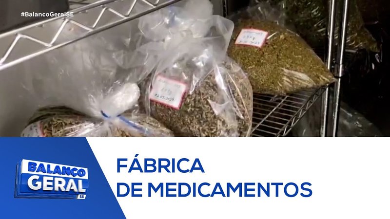  Dirigentes de ONG que fabrica medicamentos à base de cannabis em Sergipe são soltos – A8SE.com