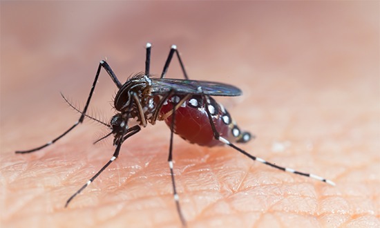  Técnico de enfermagem morre com suspeita de dengue em SE – O Caju